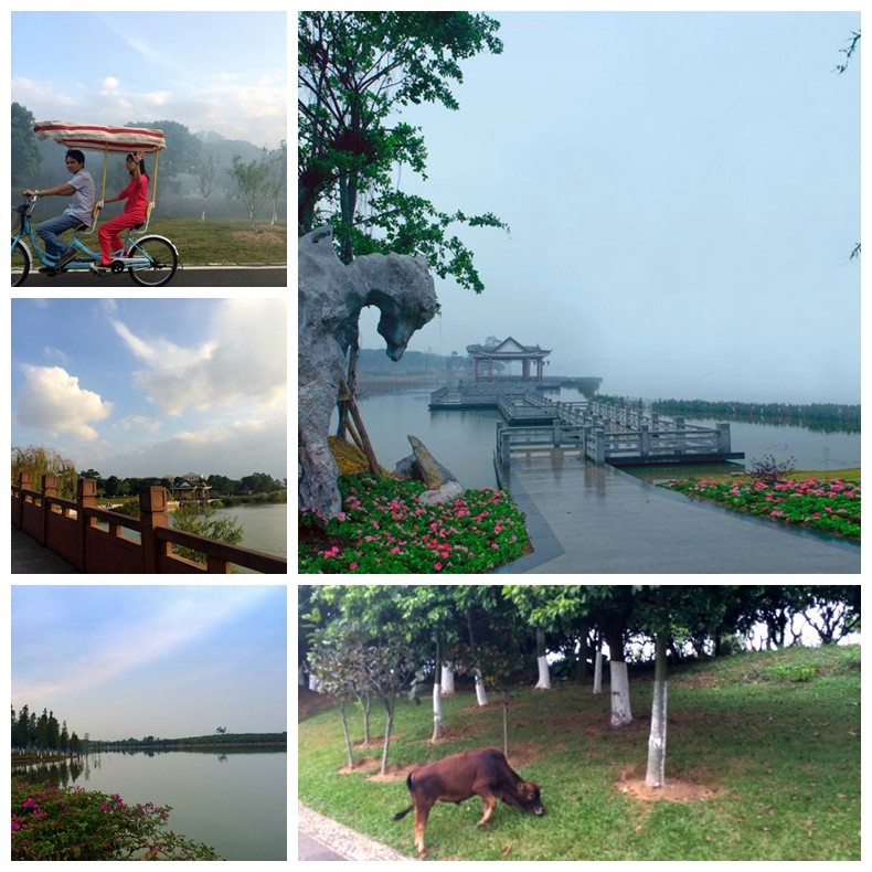 晟鼎精密活動(dòng)