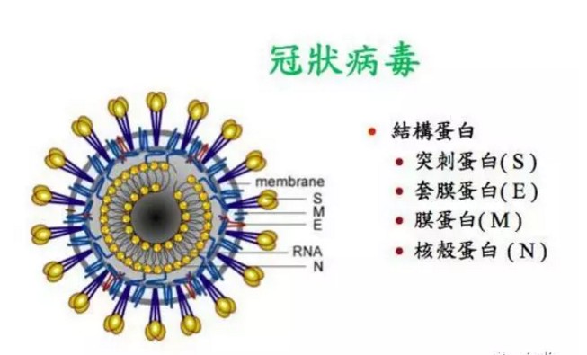 接觸角測量儀與口罩的關(guān)系 1.JPG