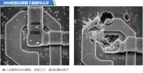 11.1網站01.png